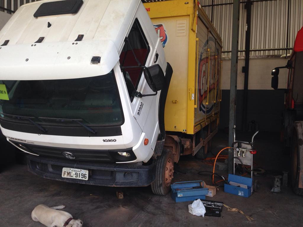 caminhao fml 9196.jpg